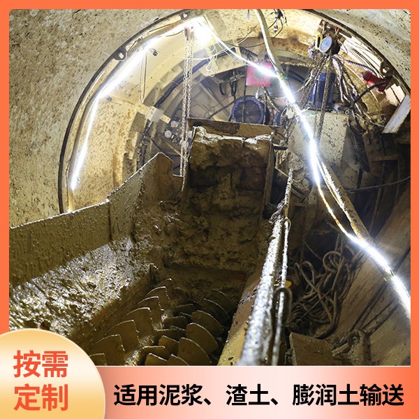 福建頂管機專用泵.jpg